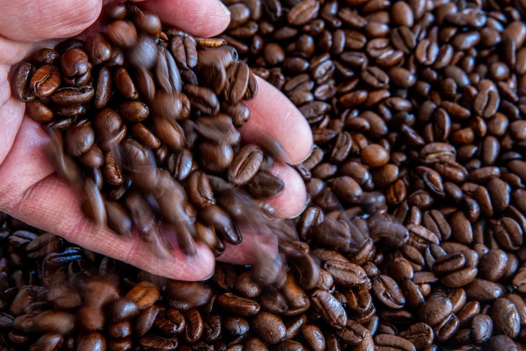 Die Preise für Rohkaffee sind in den letzten Wochen gestiegen.