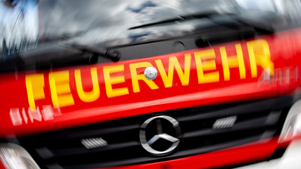 Das Abbrennen von Unkraut verursachte in Burg einen größeren Brand.