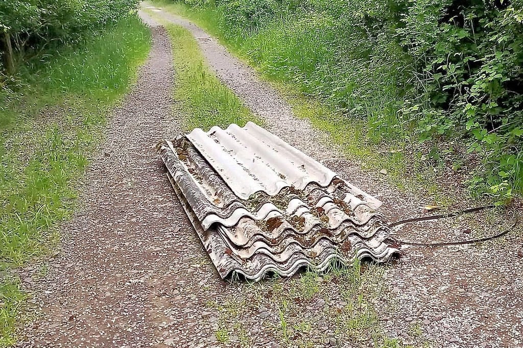 Diese Asbestplatten wurden in der Nähe der Heideteiche bei Osterfeld illegal in der Natur entsorgt.