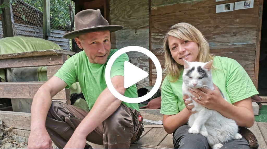 Nicole und Michael Schneider haben den Magdeburger Gnadenhof "Katzeninsel" nach dem Tod des Gründers übernommen. Nun brauchen sie Hilfe.