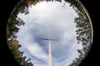 Für oder gegen Windräder im Wald? In Gardelegen tagt dazu Ende Juni der Stadtrat. 