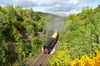 Die Dampflok 95 1027 in ihrem Element: Die "Bergkönigin" schnauft auf der legendären Steilstrecke der Rübelandbahn durch den Harzwald. 
