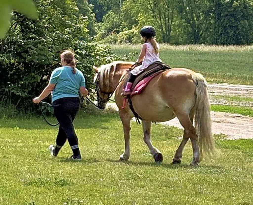 Beliebt ist das Ponyreiten gewesen.