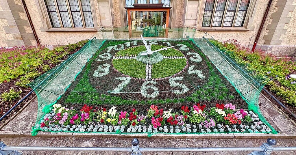 Ein Netz schützt die Bernburger Blumenuhr vor Vögeln.