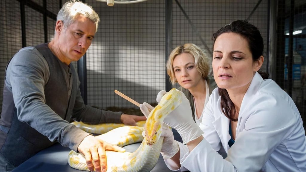 Tierärztin Dr. Mertens (Elisabeth Lanz) untersucht eine Python, die anscheinend im Zoo ausgesetzt wurde.