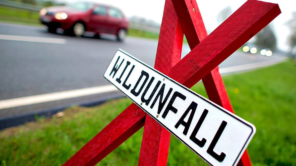 Die häufigste Unfallursache im Kreis Stendal waren laut Polizei im Jahr 2024 Kollisionen mit Wildtieren.