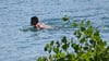 An einigen Badeseen in Sachsen-Anhalt kann man ungestört schwimmen.