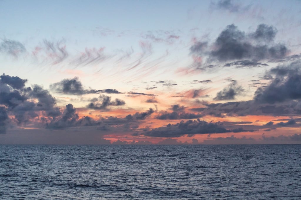 Untersucht wurde eine Region nördlich von Hawaii, die sogenannte Nordpazifische Übergangszone.