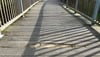 Beschädigte Holzbohle: An einer Fußgängerbrücke in Magdeburg ist eine Stelle marode.