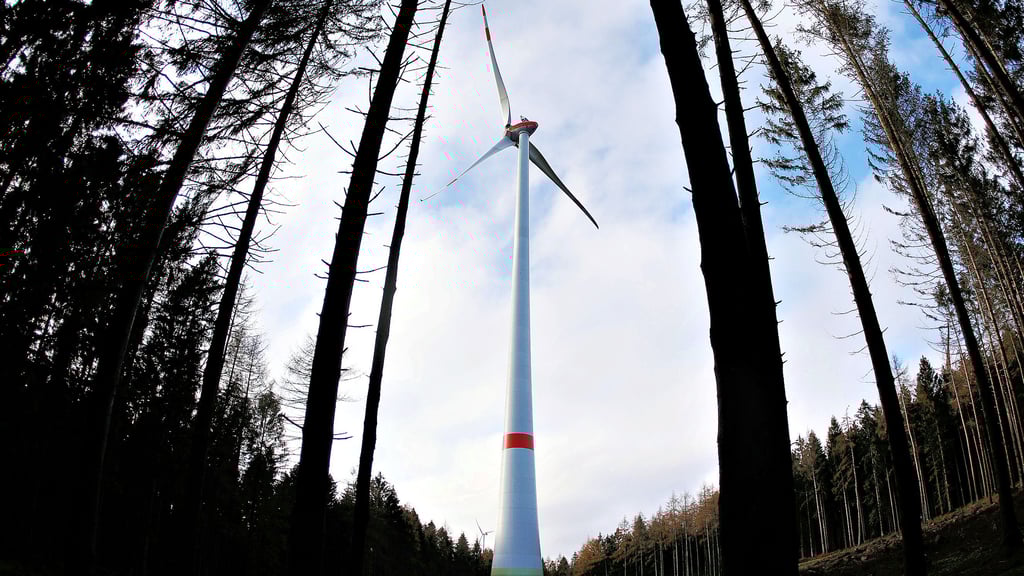 So oder so ähnlich könnte es aussehen: RWE möchte in einem Waldstück zwischen der A9 und der B107 in Coswig einen Windpark mit elf etwa 270 Meter hohen Anlagen bauen. Der Stadtrat wird nun diesbezüglich eine erste Entscheidung treffen.