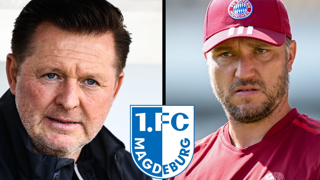 Danny Galm sammelte im Profibereich nur mit SV Sandhausen Erfahrung. Ab Sommer könnte er den 1. FC Magdeburg trainieren.