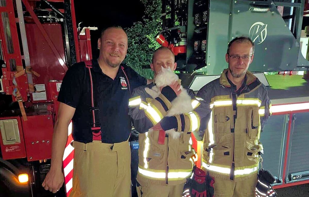 Eine Katze gerettet hat die Feuerwehr Nienburg.