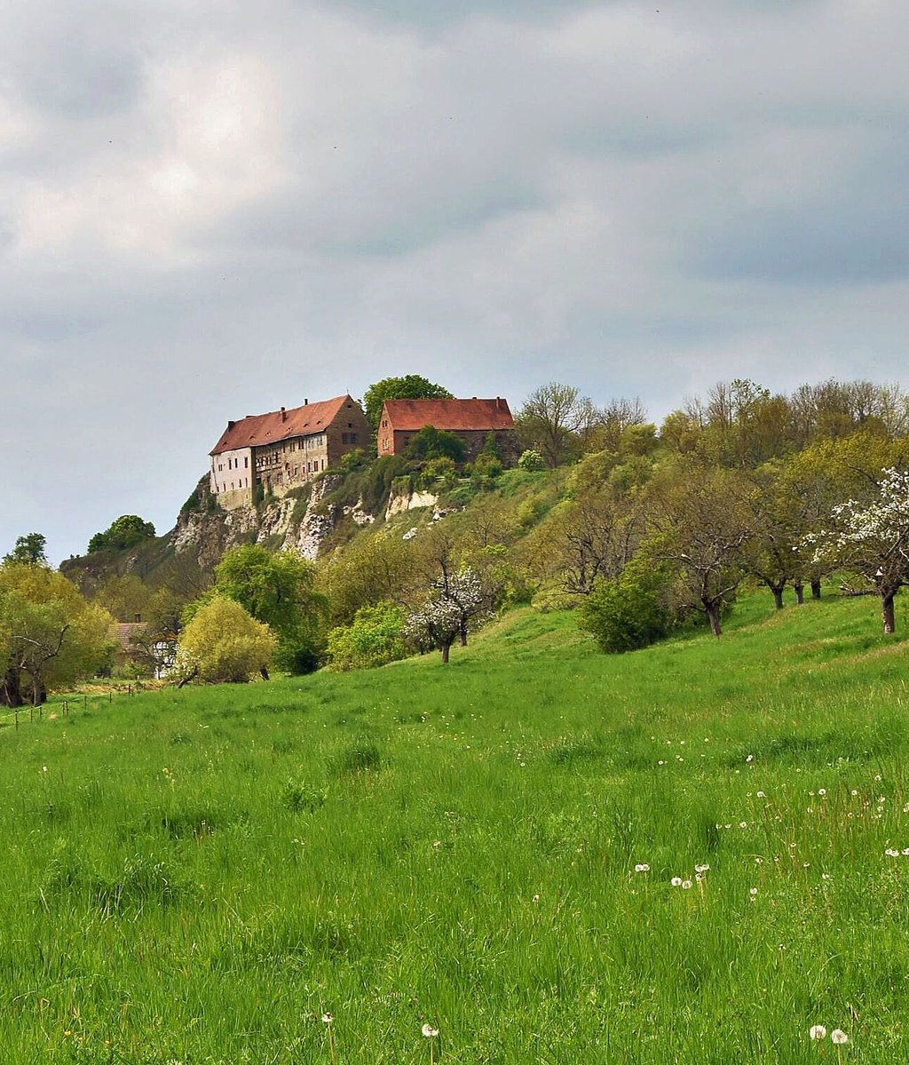 Auf dem Wanderweg entlang der Unstrut vorbei an alten Kopfweiden zeigt sich ein idyllischer Blick zur Burg Wendelstein.