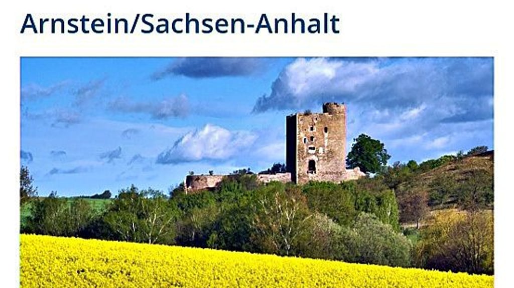 So sieht die Bürger-App für die Stadt Arnstein aus.