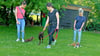 Hundebesitzer und ihre Schützlinge können auf dem Vereinsgelände in Klostermansfeld viel lernen. 