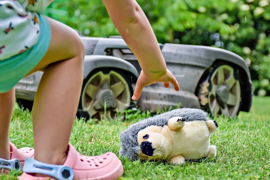 Dieser Kuscheltier-Igel konnte in letzter Minute gerettet werden. Zahlreiche Hinweise deuten jedoch darauf hin, dass Mähroboter die lebendigen nachtaktiven Tiere verletzen oder töten können. Neben Igeln sind Spitzmäuse, Amphibien und auch Reptilien gefährdet.