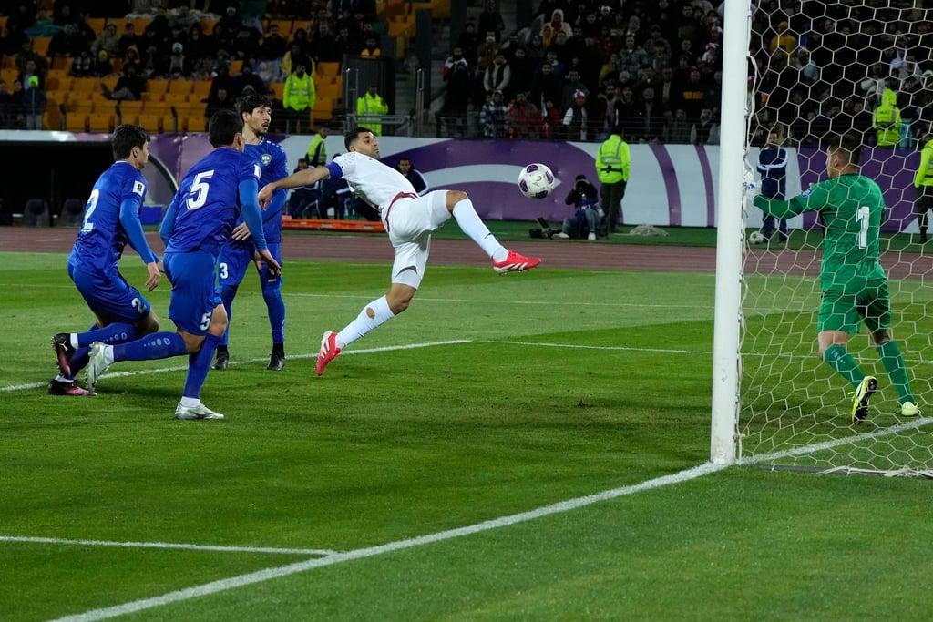 Iran und Usbekistan sind bei der WM dabei.