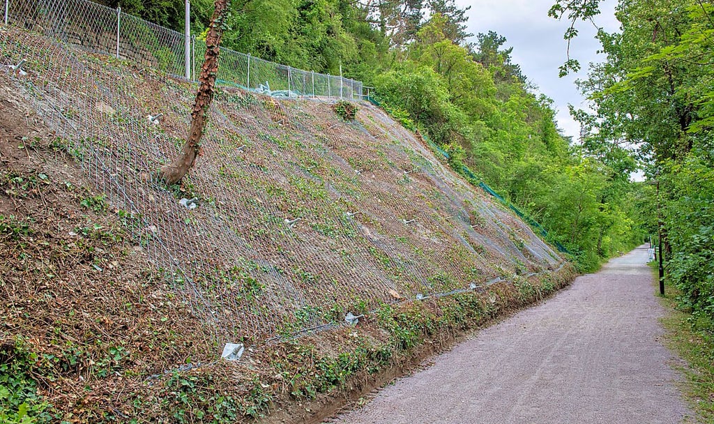 Rund 350 Quadratmeter Fläche sind am Hang oberhalb des Gosewitzweges von Bad Kösen mit Stahlnetzen gesichert worden.