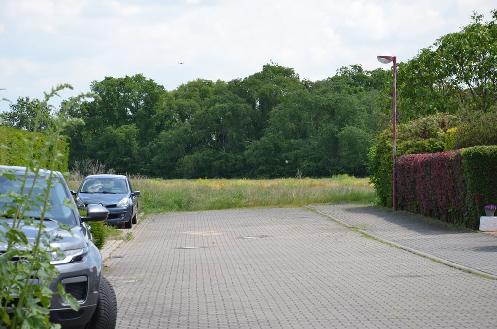 Wird es etwas mit einem Spielplatz an der Baumeckerstraße in Staßfurt oder nicht?