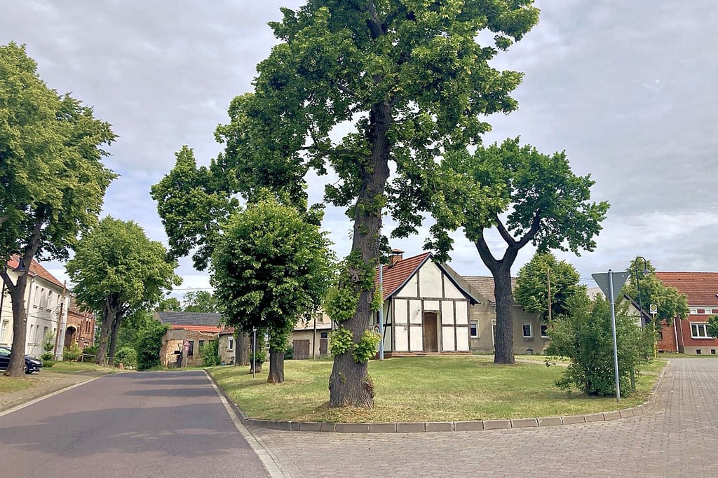 Auf der Insel, wo das Backhaus in Kleinleitzkau steht, soll die Aufenthaltsfläche eingerichtet werden.