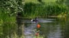 Nach einem Raubmord in Berlin-Reinickendorf sucht die Polizei mit Tauchern einen Teich ab.