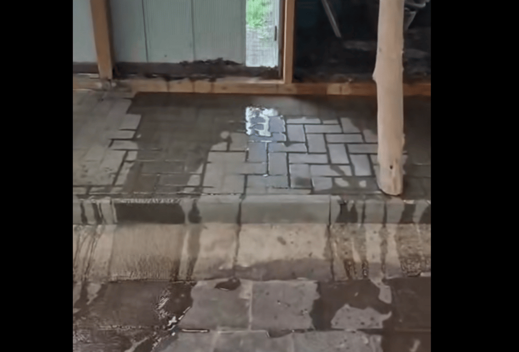 Das Tierheim Gardelegen wurde von einem Unwetter hart getroffen.