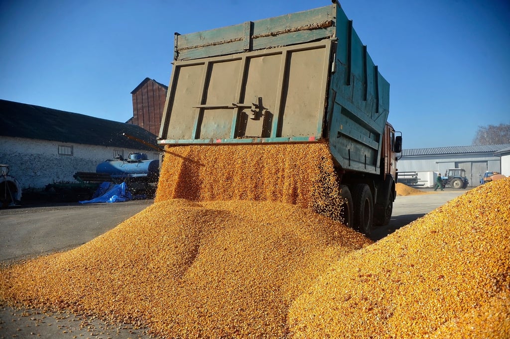 Agrarexporte der Ukraine haben für Unmut bei Bauern in der EU gesorgt. (Archivbild)