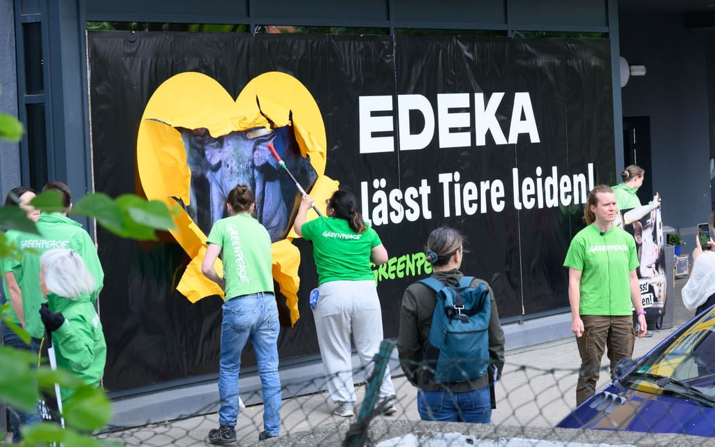Greenpeace-Aktivisten kleben Protestplakate gegen Tierleid an die Scheiben eines Edeka-Markts.