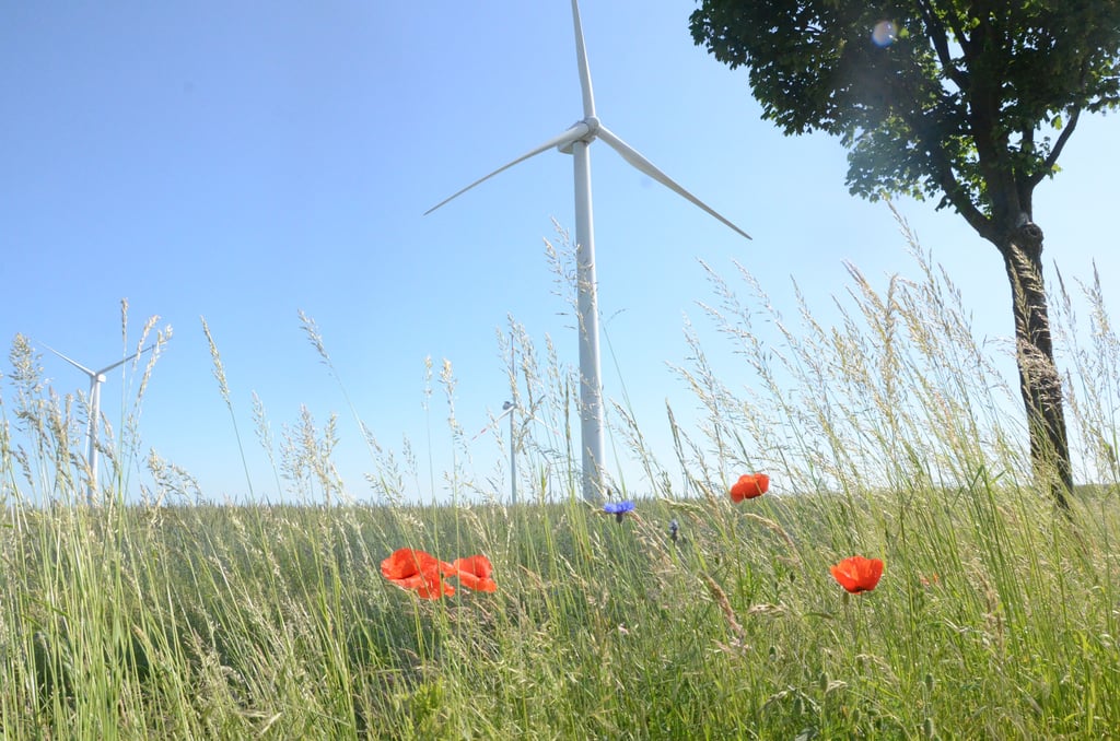 Windräder bei Salzwedel. In den bereits vorhandenen Gebieten geht es auch um die Höhenbegrenzung.