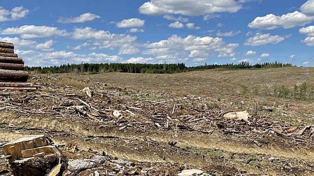 So sieht es auf den Flächen aus, auf denen die Windräder errichtet werden sollen.