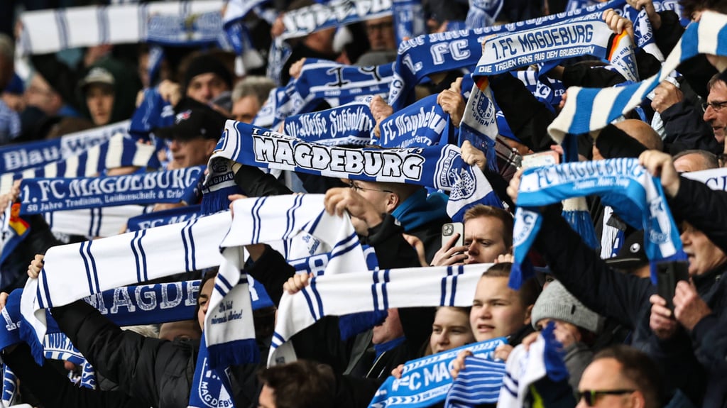 Der 1. FC Magdeburg spielte eine sportlich erfolgreiche Saison 2024/25. Das würdigten auch die Fans in unserer Umfrage in vielen Bereichen.
