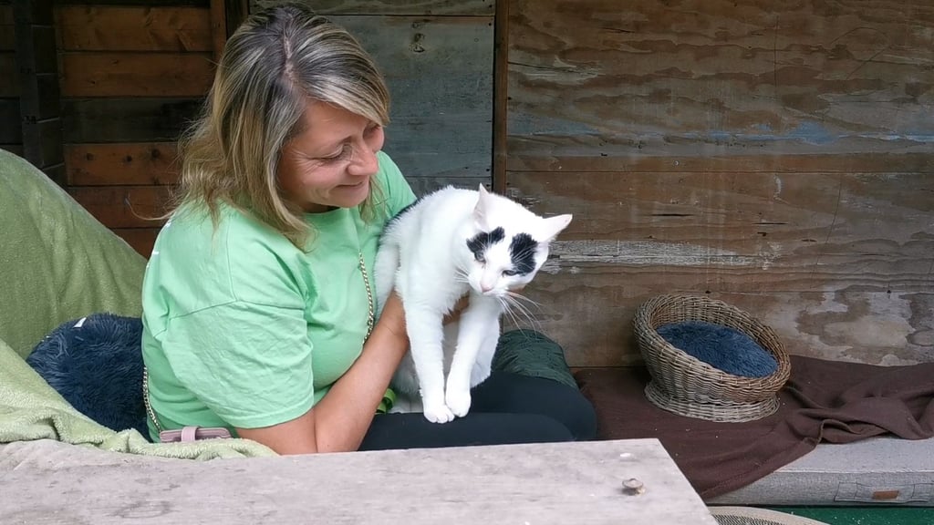Nicole Schneider strahlt. Die Vorständin des Gnadenhofs Katzeninsel in Magdeburg-Rothensee ist glücklich. Dank vieler Spenden muss die Einrichtung nicht geschlossen werden.