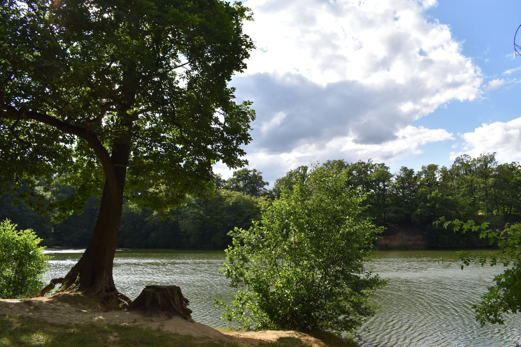 Ein malerischer Platz in der Harzstadt Blankenburg: der Mönchemühlenteich. Er hat über die Jahrhunderte so einiges erlebt.