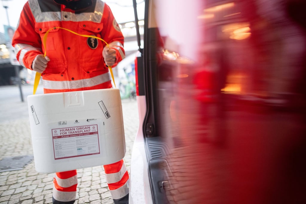 Am häufigsten wird in Deutschland eine neue Niere benötigt (Symbolbild).