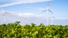 In Nord- und Ostdeutschland sollen mehrere neue Windparks entstehen. (Archivfoto)