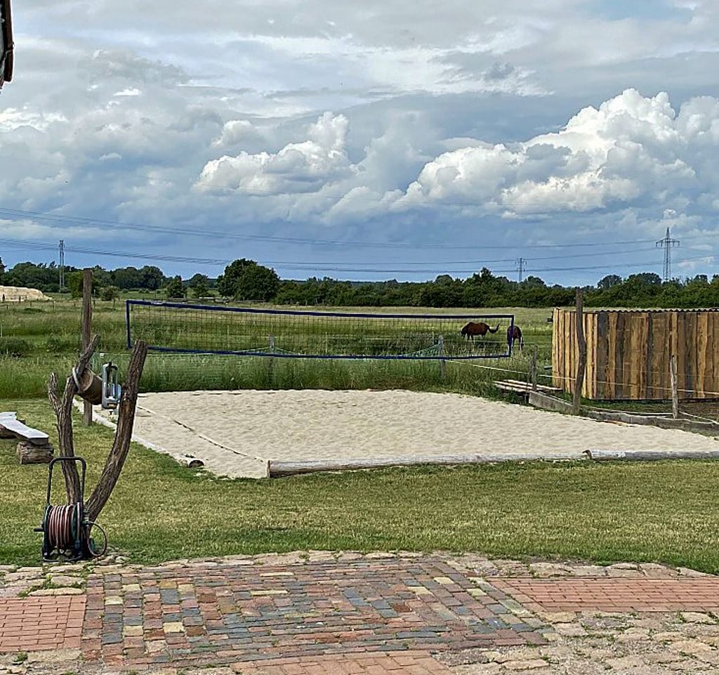 Volleyballfeld und angrenzende Weide.