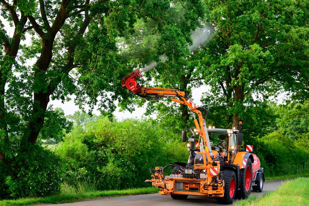 Die Haare des Eichenprozessionsspinners können zu Hautausschlägen führen. Mit winzigen Fadenwürmern wird der Schädling vielerorts bekämpft.