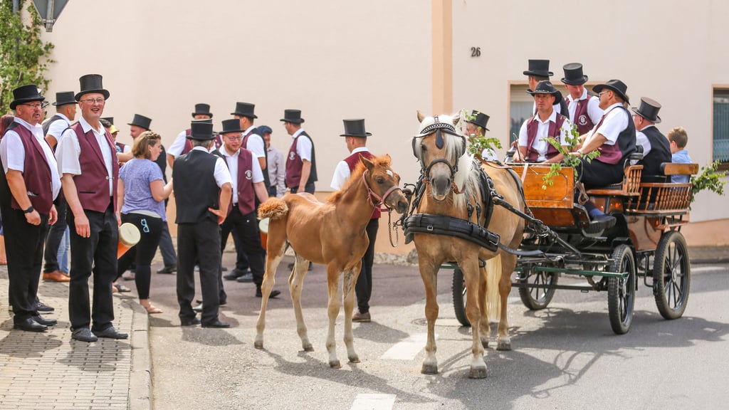 Tradition und Brauchtum zu Pfingsten: Festlich geschmückte Kutschen wie hier in Wünsch sind bei vielen Umzügen ein beliebter Anblick. Die MZ gibt einen Überblick über die Veranstaltungen 2025 im Saalekreis.