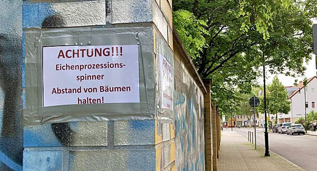 Sicherheitshalber wurden Schilder angebracht, die auf die gefährlichen Raupen hinweisen.