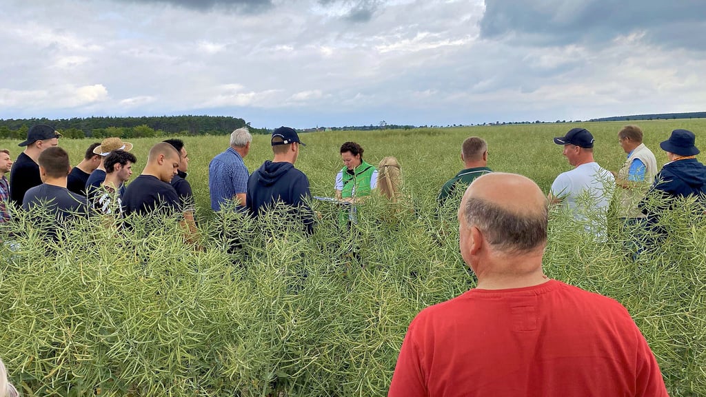 Andrea Rode (in grüner Weste) von der Landesanstalt für Landwirtschaft und Gartenbau erklärt den Agrar-Fachleuten Sortenversuche im Raps.