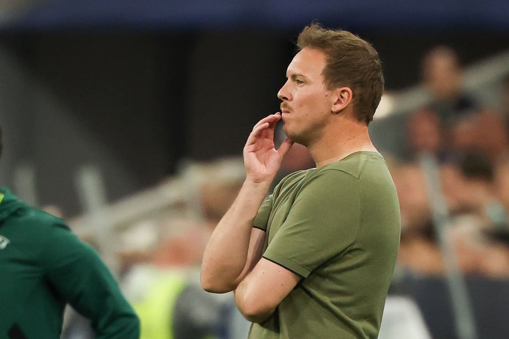 Was nun? Bundestrainer Julian Nagelsman.