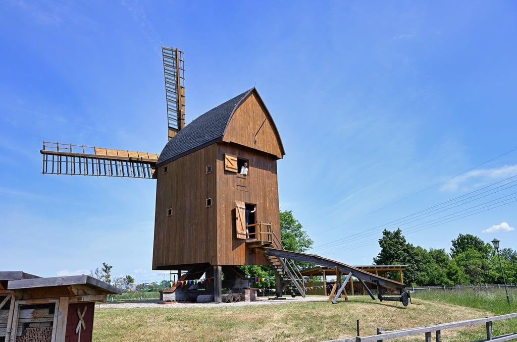 Die Bockwindmühle Spergau zum Deutschen Mühlentag 2023