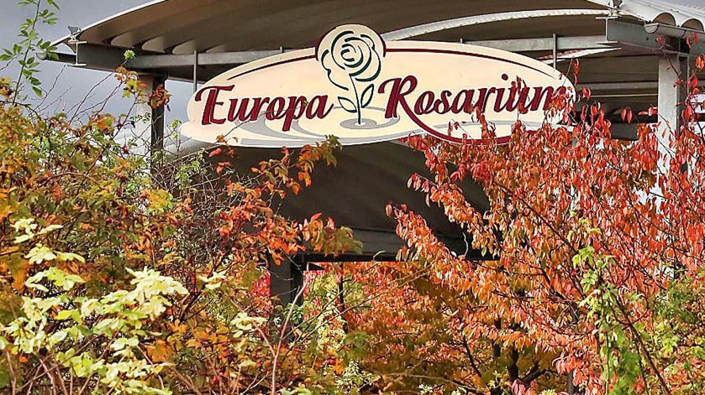 Blick ins Rosarium. Aufgrund des Wetters und hoher Krankenstände gibt es dort noch viel Unkraut.
