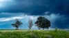 Am Pfingstwochenende müssen sich viele Regionen auf Gewitter, Starkregen und stürmische Böen einstellen. Der Deutsche Wetterdienst warnt vor teils unwetterartigen Entwicklungen – vor allem im Harz und auf dem Brocken.