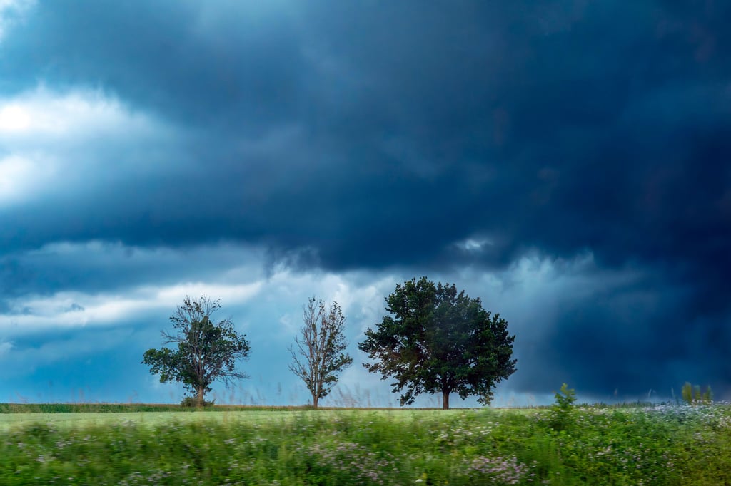Am Pfingstwochenende müssen sich viele Regionen auf Gewitter, Starkregen und stürmische Böen einstellen. Der Deutsche Wetterdienst warnt vor teils unwetterartigen Entwicklungen – vor allem im Harz und auf dem Brocken.
