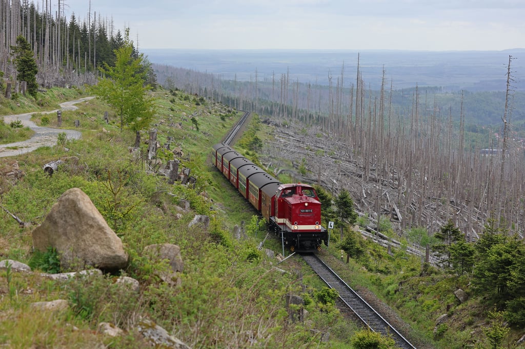 Derzeit pendeln Dieselzüge auf der Strecke zum Brocken.