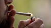 In einer Hausdurchsuchung findet die Polizei bei einem Sozialpädagogen aus Jessen Cannabis für rund 18.000 Joints.