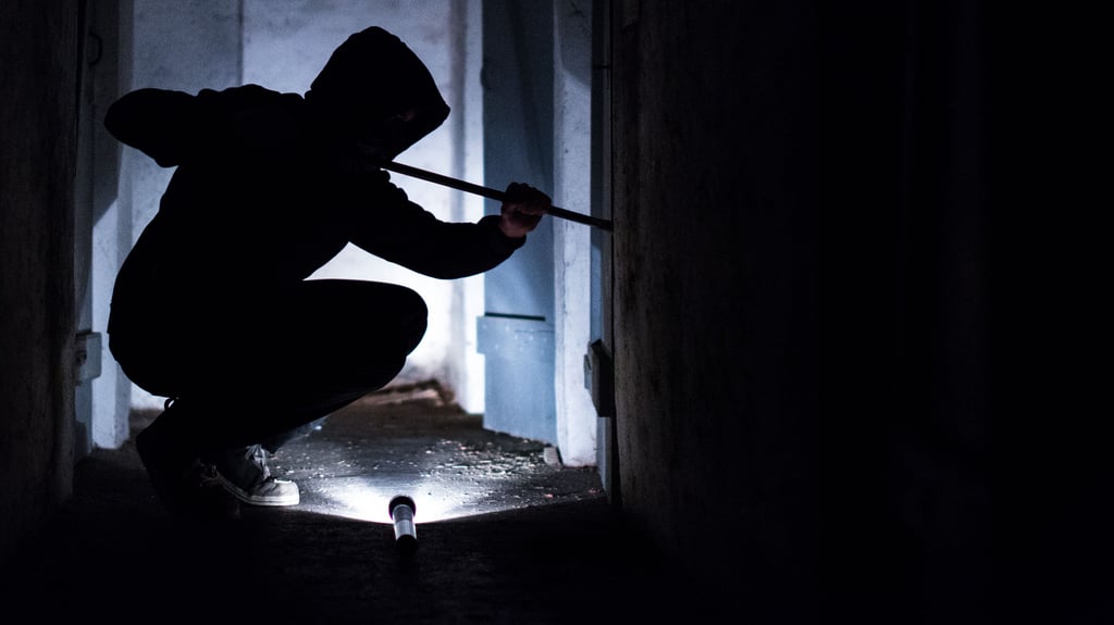 Einbruchserie in Magdeburg: Täter nutzten die Abwesenheit der Bewohner am Pfingstwochenende.