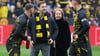 BVB-Fan Timo Boll im Stadion seines Lieblingsvereins.