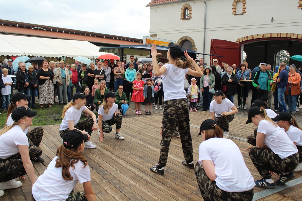 Die Crazy Dancers gehörten zu den Tanzgruppen von O'Blue, die das Programm beim Garitzer Bckofenfest bereicherten.